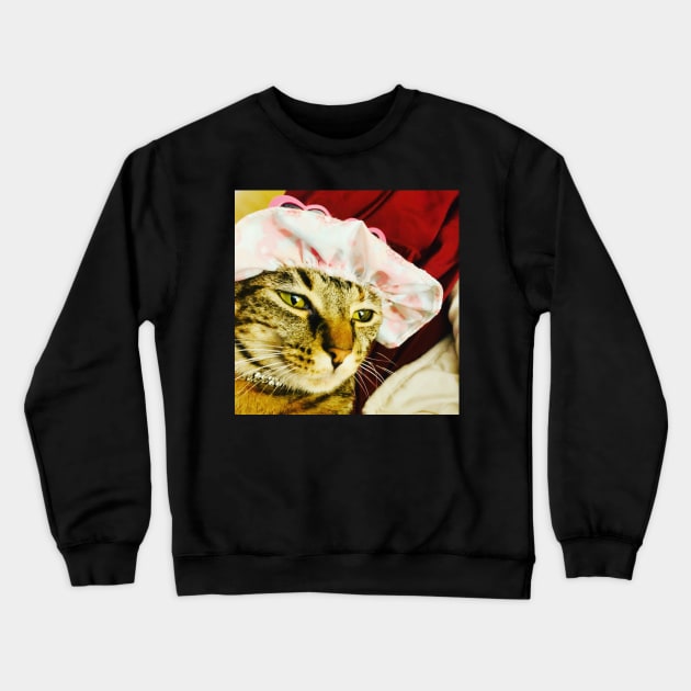 summer cat Crewneck Sweatshirt by heyokamuse